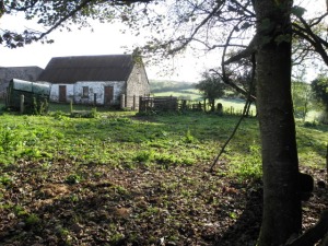 Old Farm Cottage